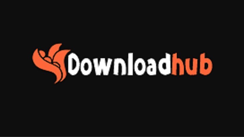 downloadhub 2022 movies download in dual audio 480p&720p website
